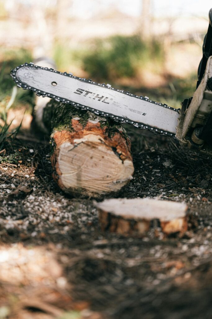 pexels-photo-4206123-4206123 Close-up of a chainsaw cutting a tree log outdoors, highlighting wood texture.
